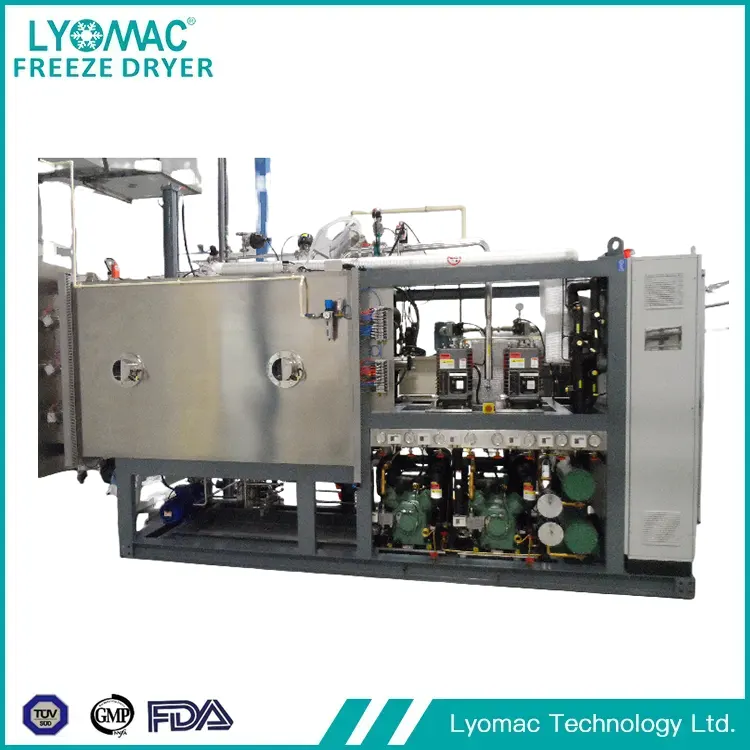 The Global Vanguard of Lyophilization: LYOMAC TECHNOLOGY LTD and the Future of Sterile Processing