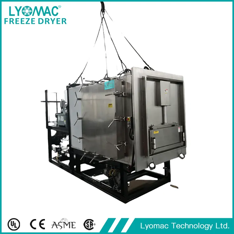 GMP Pharmaceutical Lyofilisator