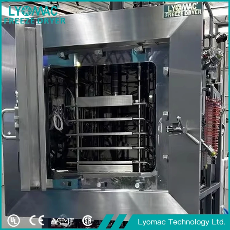 Provkonserveringslyofilisator